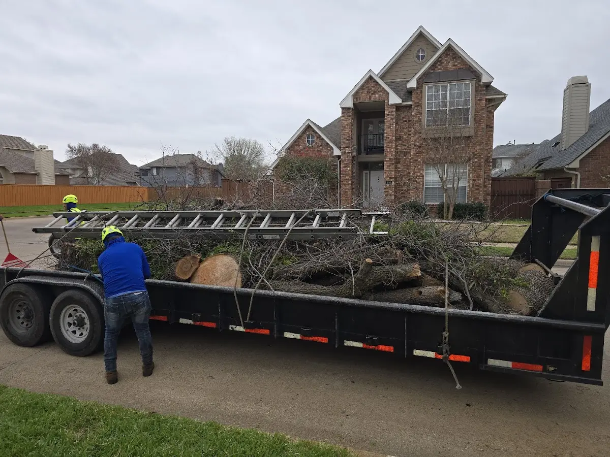 Expert Tree Pest Control with proper safety equipment in La Junta